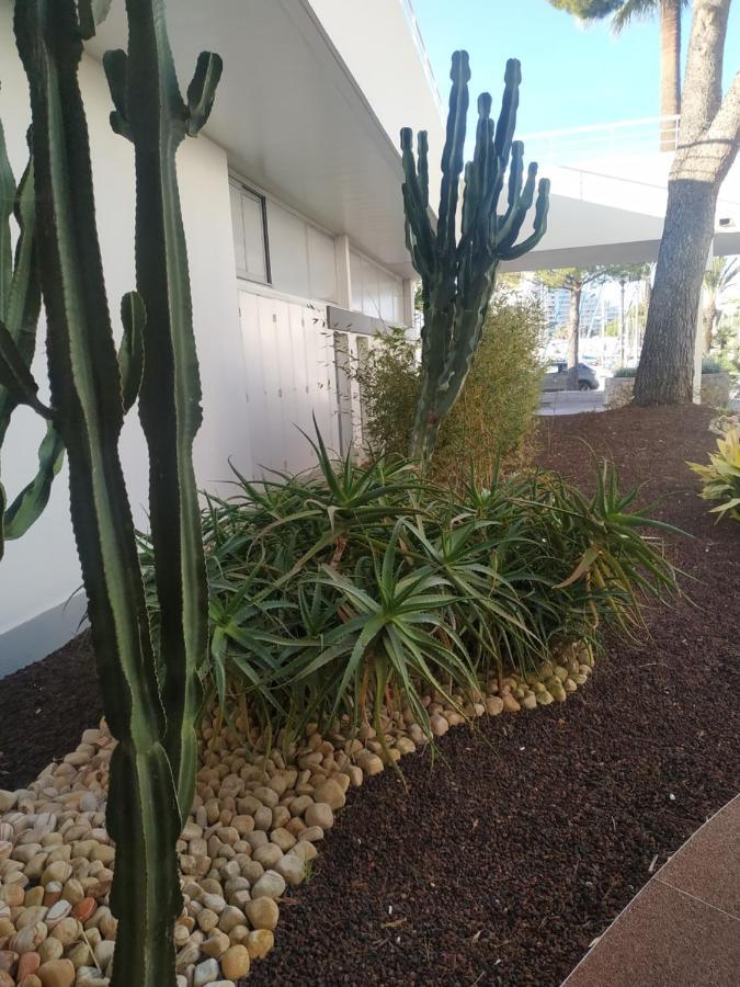Studio Rez De Jardin Marina Baie Des Anges Villeneuve-Loubet Ngoại thất bức ảnh