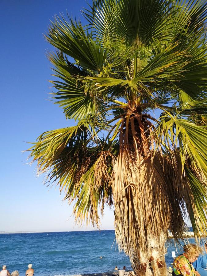 Studio Rez De Jardin Marina Baie Des Anges Villeneuve-Loubet Ngoại thất bức ảnh